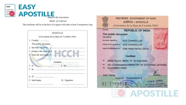 India MEA Apostille (Sticker) & Model Fields per Hague Left: India MEA apostille sticker sample; Right: model apostille certificate fields